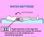 waterbeds properly support your back
